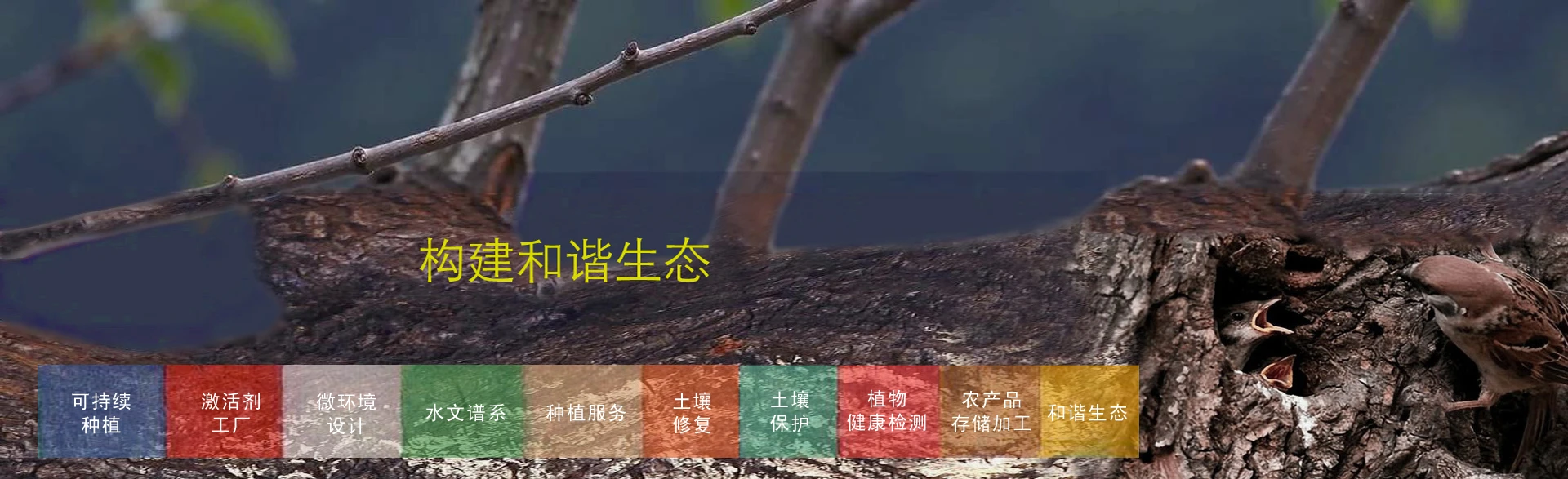 可持续种植