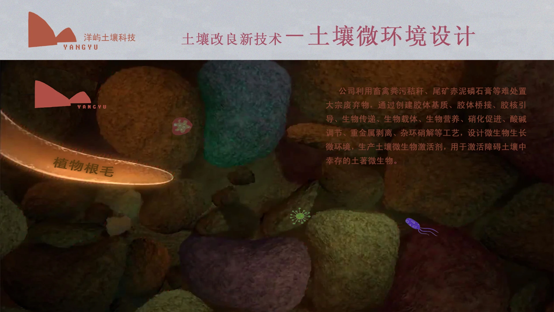 微环境内容