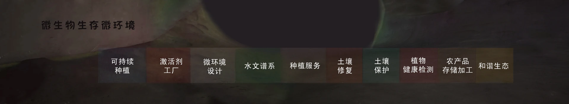微环境标题