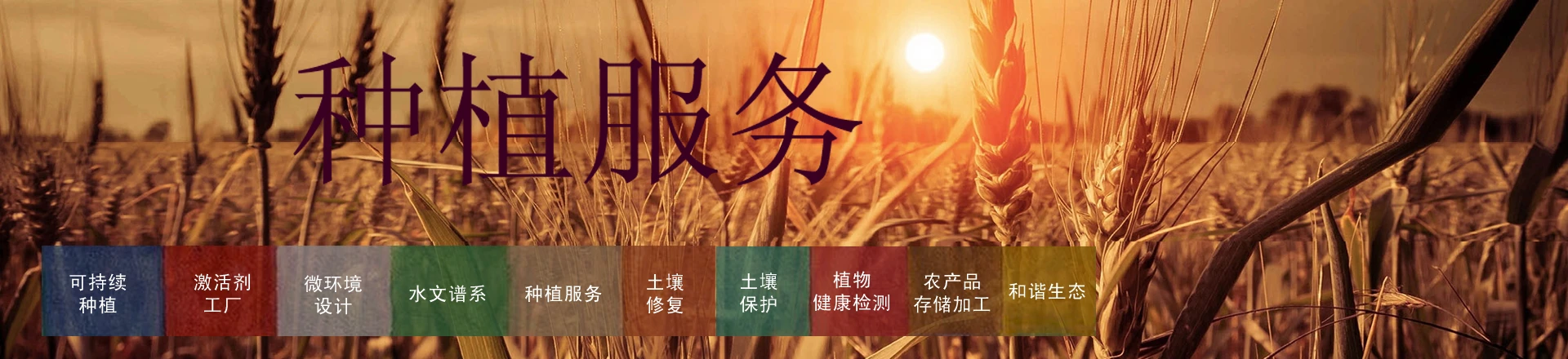 种植服务标题
