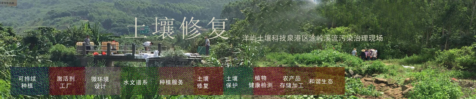 土壤修复标题