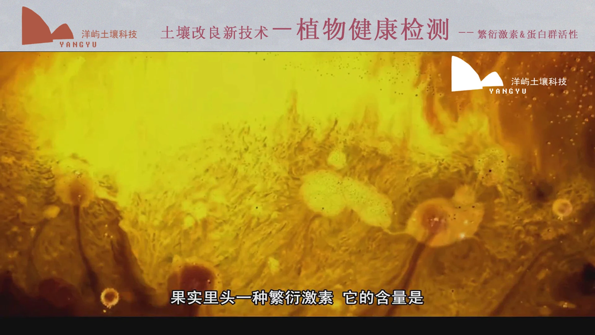 植物健康检测内容