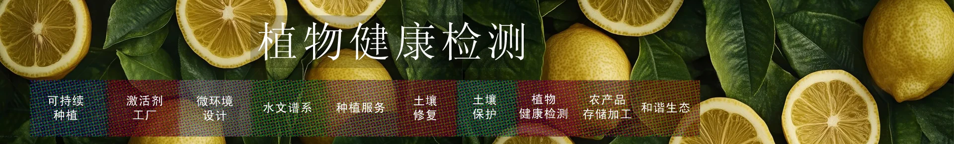 植物健康检测标题