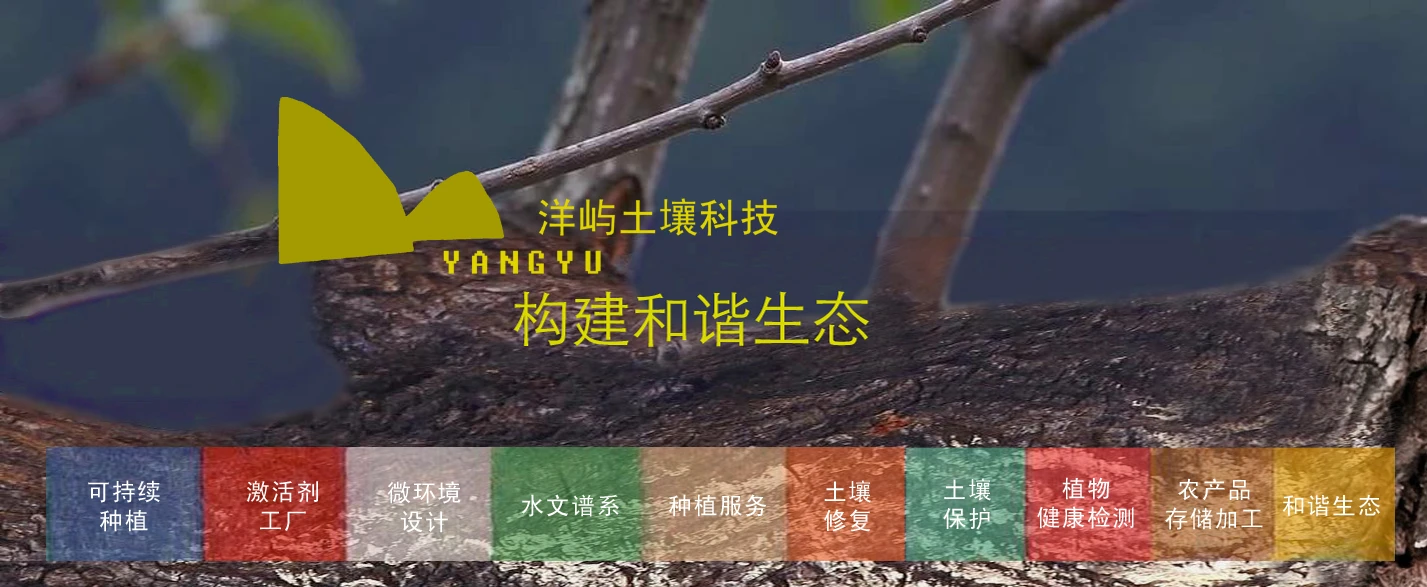 叠加图